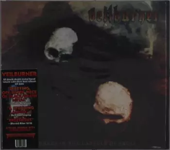 Lurkers In The Capsule Of Skull