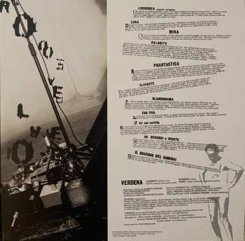 2LP Verdena: Il Suicidio Dei Samurai