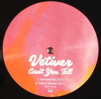 LP Vetiver: Can't You Tell (Remixes) LTD