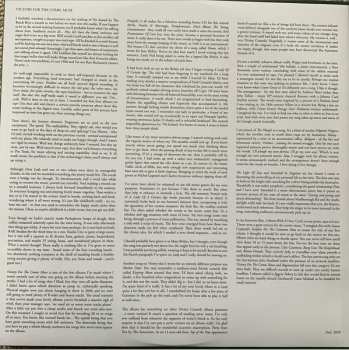 LP The Divine Comedy: Victory For The Comic Muse