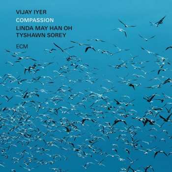 2LP Vijay Iyer: Compassion