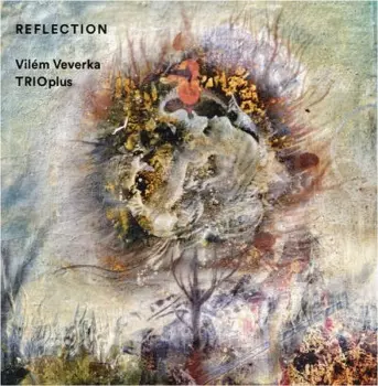 Vilém Veverka: Reflection