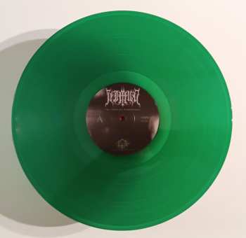 LP Vimur: The Timeless Everpresent CLR