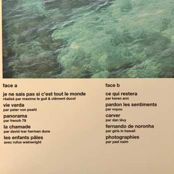 LP Vincent Delerm: Panorama