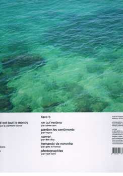 LP Vincent Delerm: Panorama