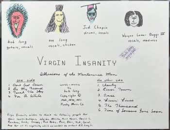 LP Virgin Insanity: Illusions Of The Maintenance Man LTD