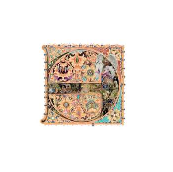 Album VISIO: Privacy Angels