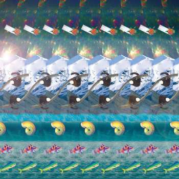 CD Vložte Kočku: Hedvika