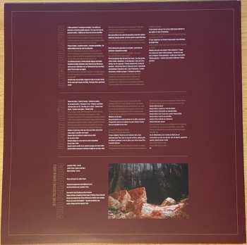 LP Void Paradigm: Ultime Pulsation / Demain Brûle