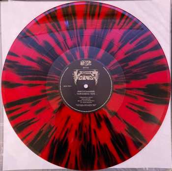 6LP/DVD/Box Set Voïvod: Forgotten In Space DLX | LTD | CLR