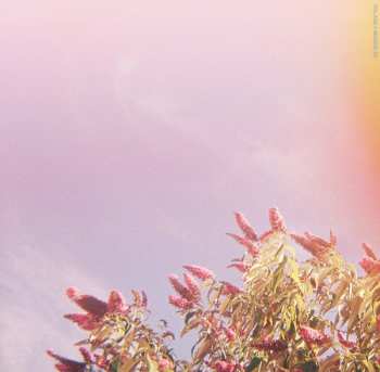 EP Volage: Maddie CLR | LTD