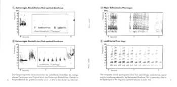 CD Walter Tilgner: Bird Of A Thousand Voices • Blaukehlchen • Bluethroat • Luscinia Svecica