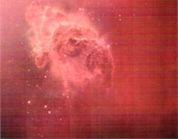 CD Walter Trout: Ordinary Madness