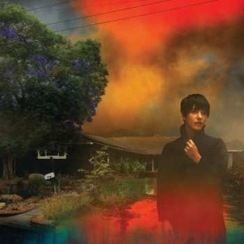LP Sharon Van Etten: We've Been Going About This All Wrong LTD | CLR