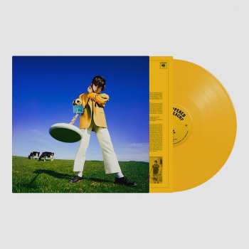 LP Declan McKenna: What Happened to the Beach?