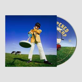 CD Declan McKenna: What Happened to the Beach?