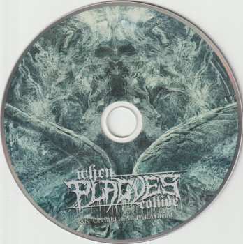 CD When Plagues Collide: An Unbiblical Paradigm