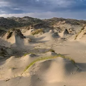 White Manna: Dune Worship