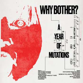 Album Why Bother?: A Year Of Mutations
