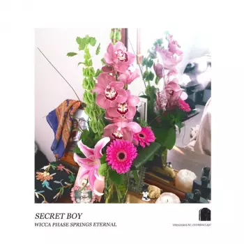 Secret Boy