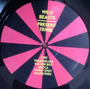 LP Wild Beasts: Present Tense