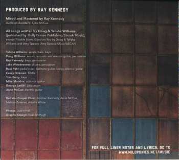 CD Wild Ponies: Things That Used To Shine