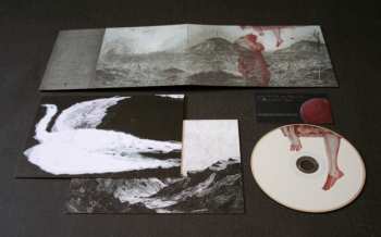 CD William Ryan Fritch: Leave Me Like You Found Me