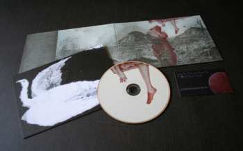 CD William Ryan Fritch: Leave Me Like You Found Me