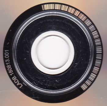 CD William Z. Villain: Stonedigger