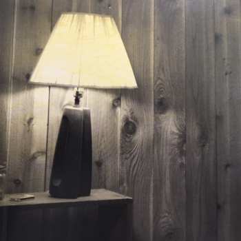 CD Willie Nelson: Last Man Standing DIGI