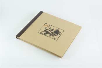 4LP/Box Set Wingless Angels: Wingless Angels (Volumes I & II) DLX | LTD | CLR