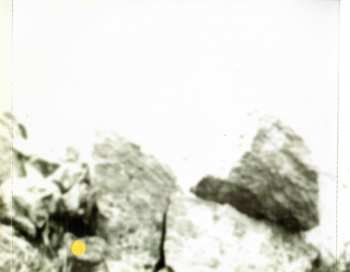 CD Without Gravity: Tenderfoot