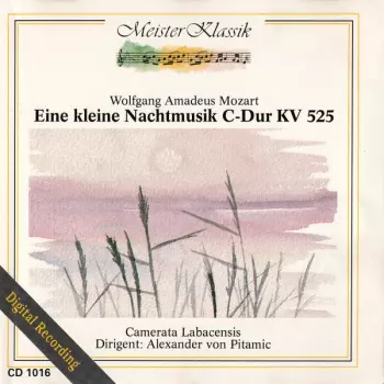 Eine Kleine Nachtmusik C-Dur KV 525