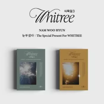 Woo Hyun Nam: Special Present For Whitree