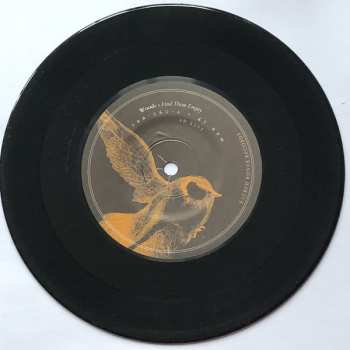 SP Woods: Find Them Empty 7"