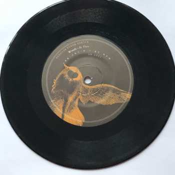 SP Woods: Find Them Empty 7"