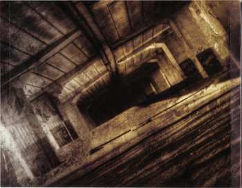 CD Woslom: Evolustruction