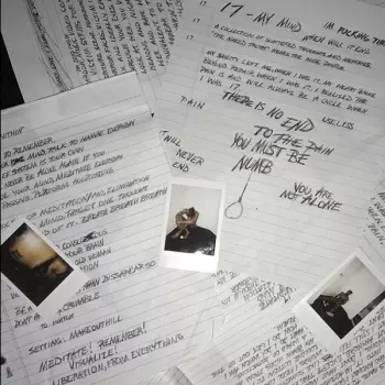 Xxxtentacion: 17