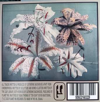 LP Xylitol: Blumenfantasie