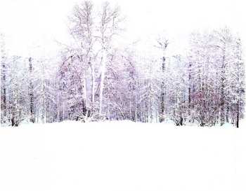 CD Yanni: Snowfall