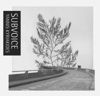 Subvoice