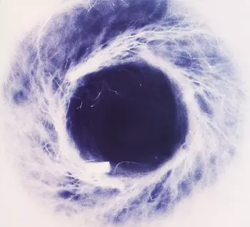 Thurston Moore: Yokokimthurston