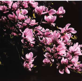 2LP Younger Brother: Vaccine