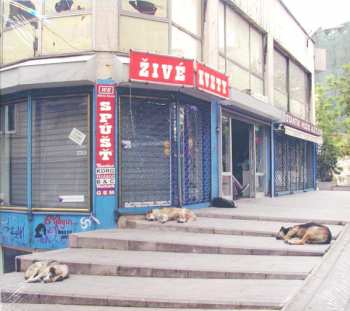 CD Živé Kvety: Spúšť DIGI