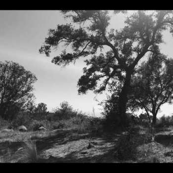 CD Zoh Amba: O, Sun